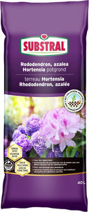 Substral Cactus-, Bonsai- En Vetplantenpotgrond 6L