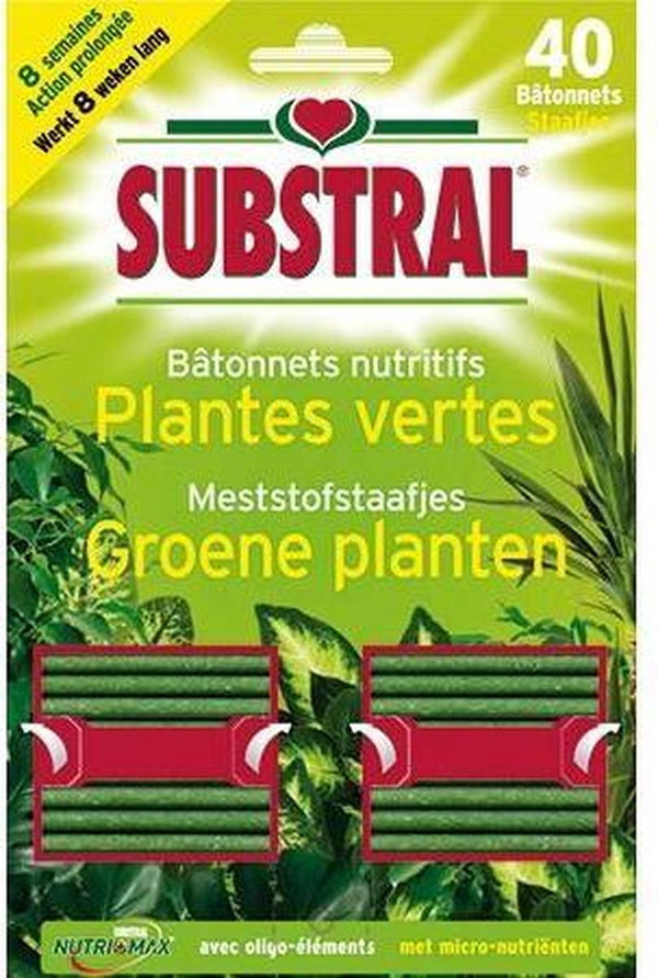 Substral Meststofstaafjes Voor Groene Planten