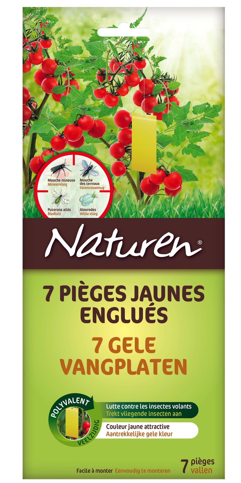 Naturen Gele Vangplaten