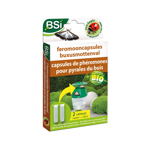 BSI Navulling Feromoonval Buxusmot 2-pack