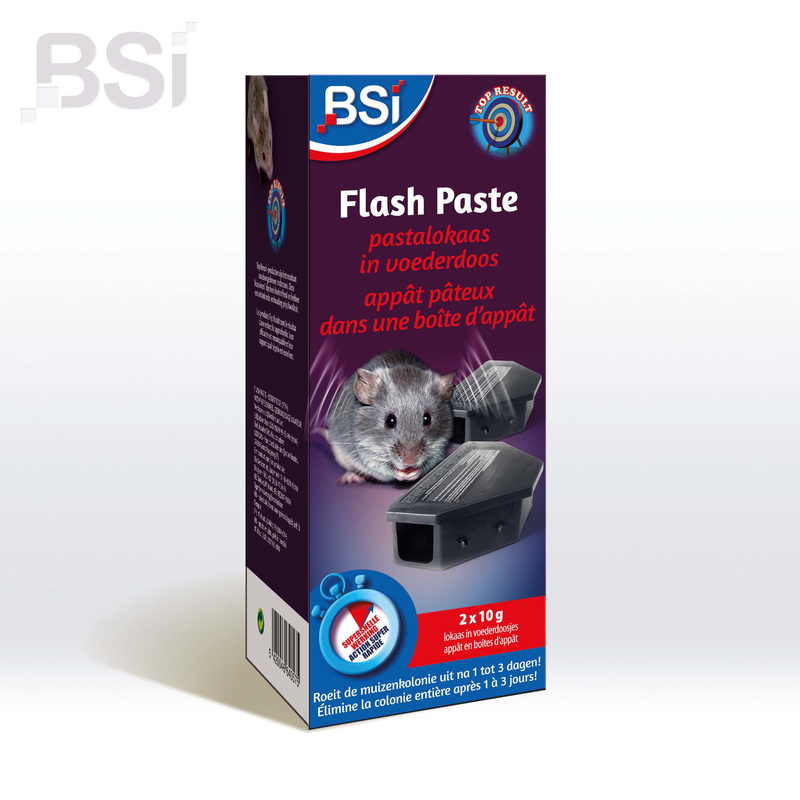 BSI Flash Paste BE/FR/LU in lokaasdoos 2 x 10 g