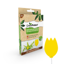 kamerplanten insectenval / piège à insectes plantes d'intérieur 10 stk/pce