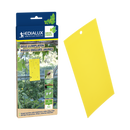 Green Protect gele lijmplaten / pièges englués jaunes 5 stk/pce