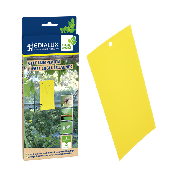 Green Protect gele lijmplaten / pièges englués jaunes 5 stk/pce
